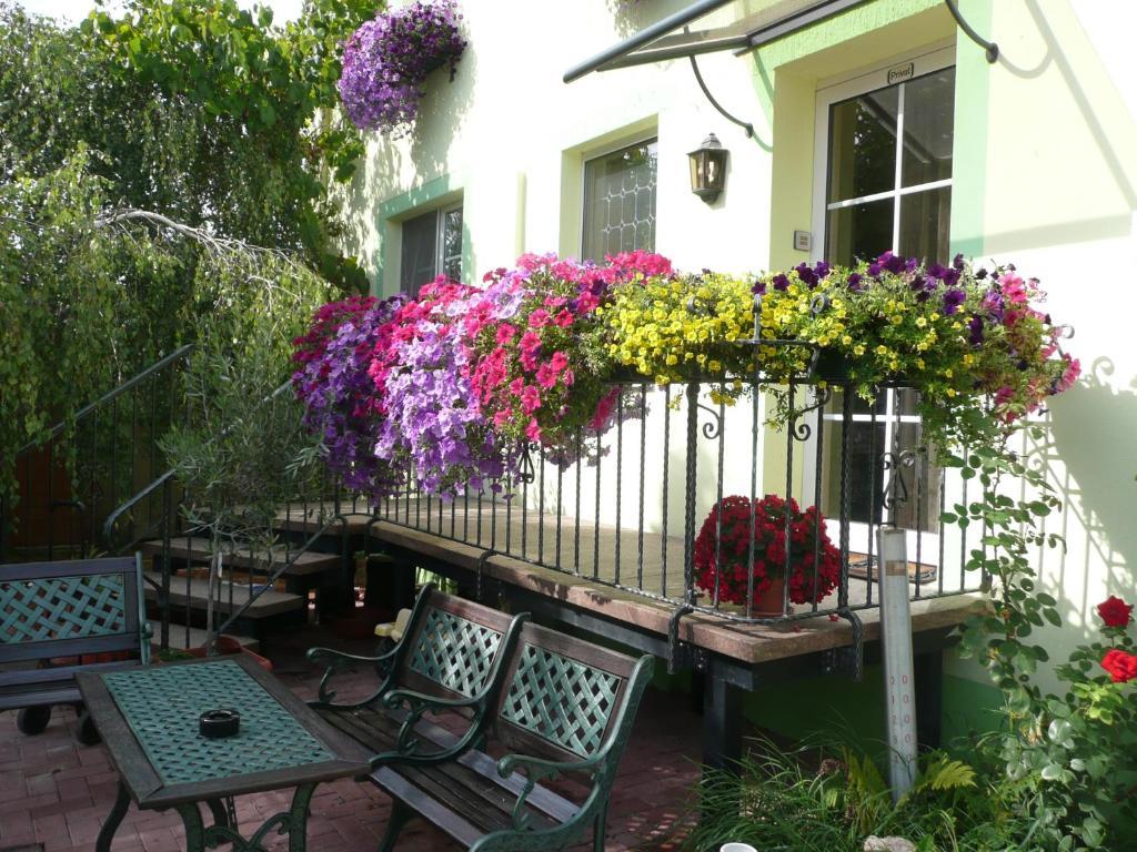 Land-Gut-Hotel Schenkenberger Hof Delitzsch Exteriör bild